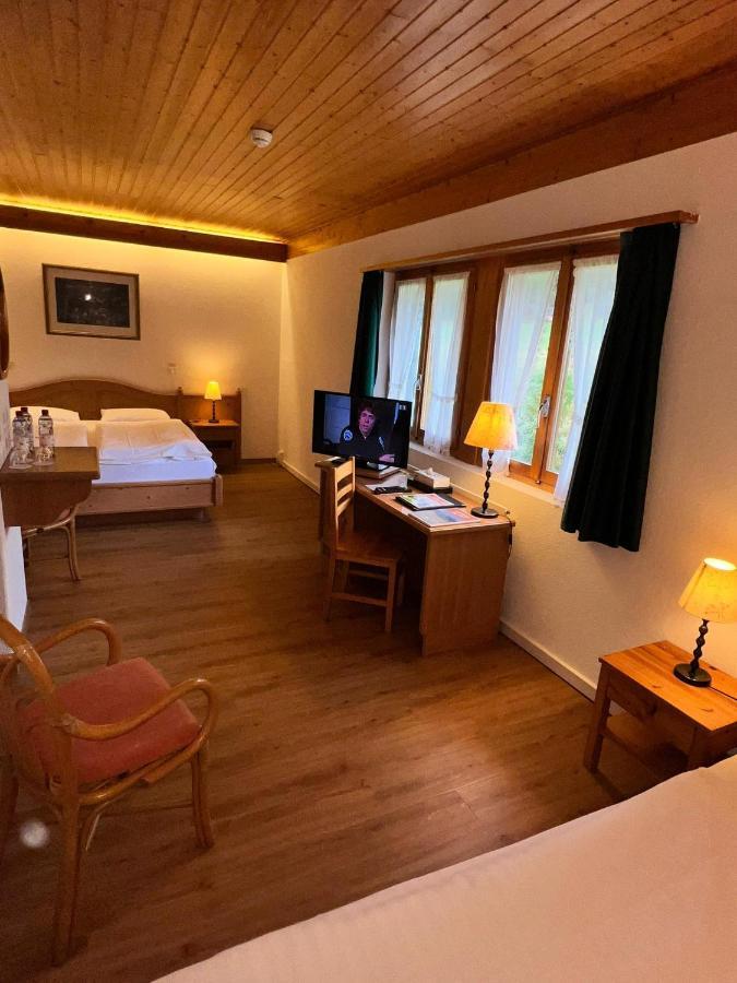 Hotel Roc Et Neige Chateau-d'Oex Dış mekan fotoğraf